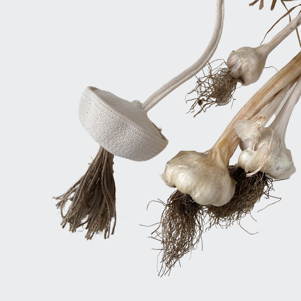 Object Translations - episode two - translating garlic into ropework